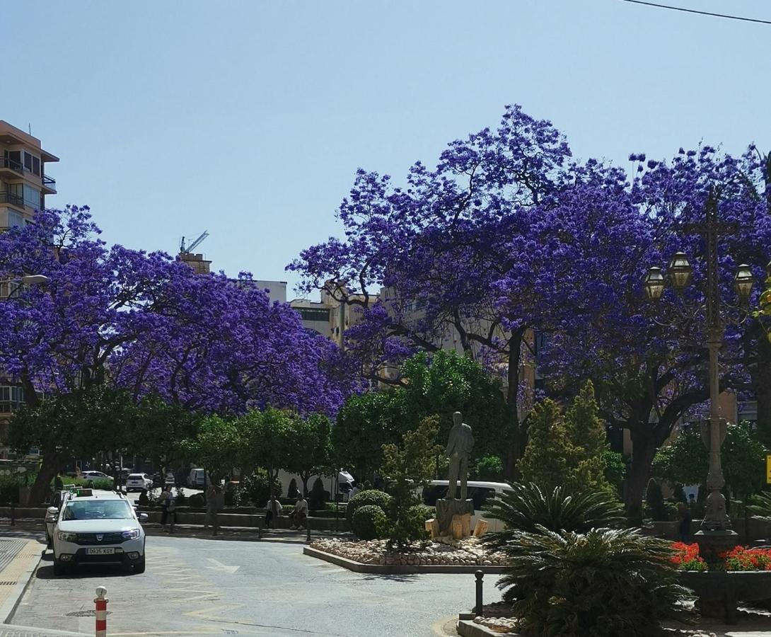 Encantador Bajo En Málaga Kültér fotó