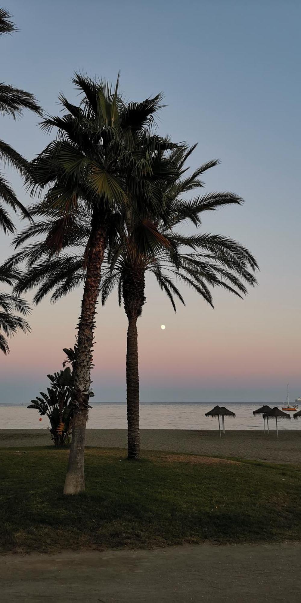 Encantador Bajo En Málaga Kültér fotó